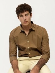 Brown Pima-Cotton Plain Formal Shirt